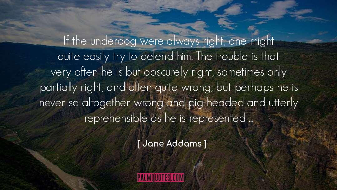 Reprehensible Antonym quotes by Jane Addams