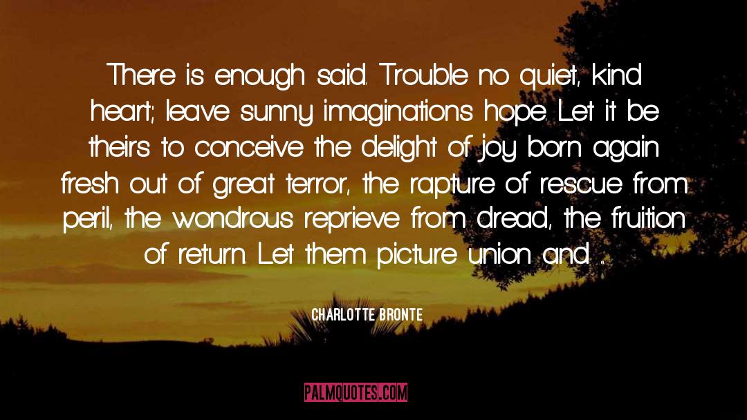 Reprieve quotes by Charlotte Bronte