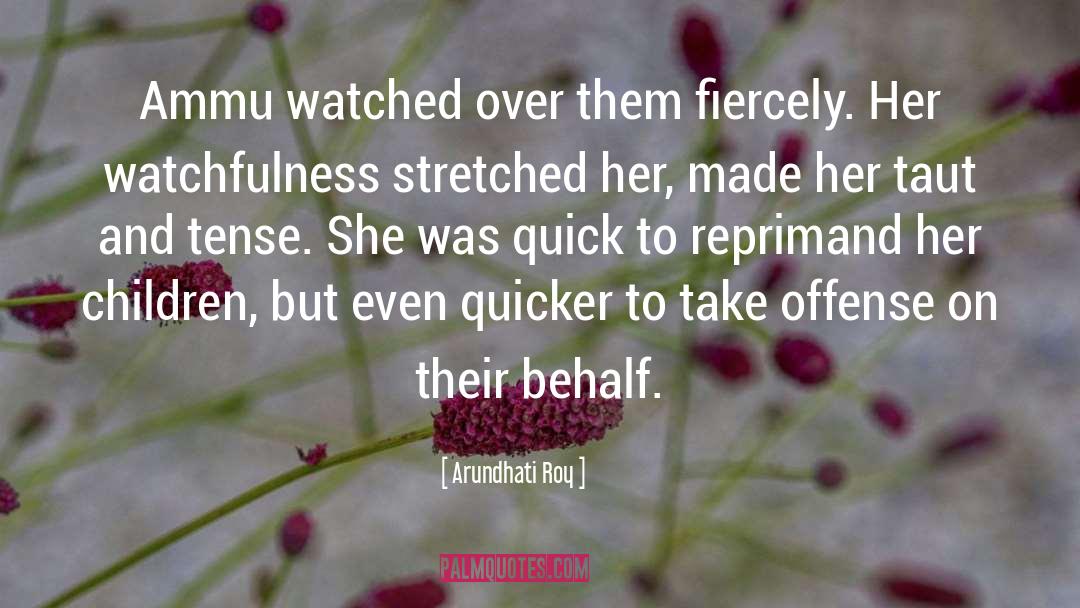 Reprimand quotes by Arundhati Roy