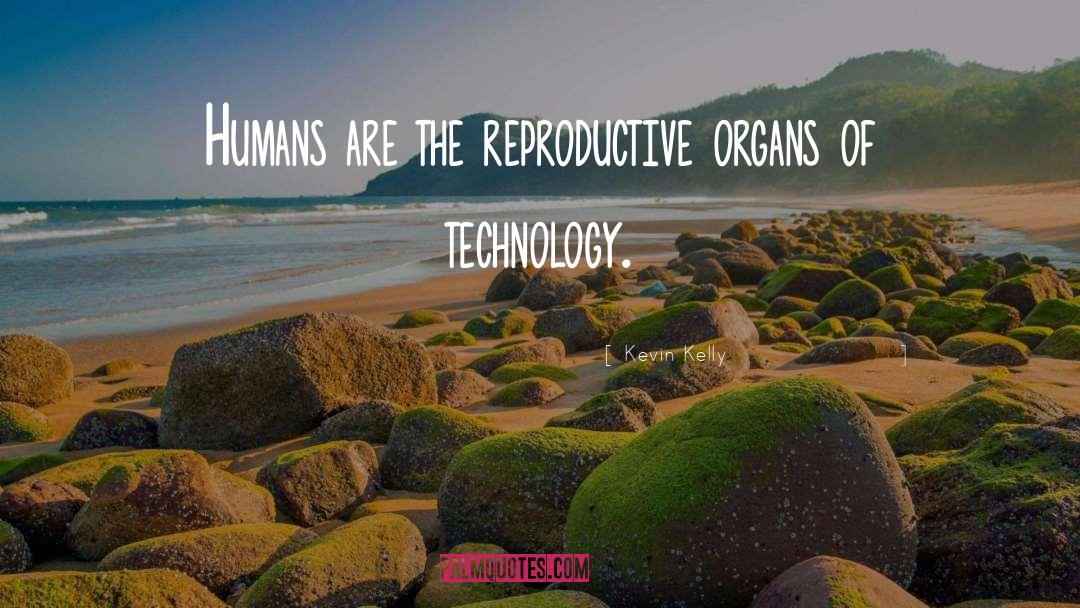 Reproductive quotes by Kevin Kelly