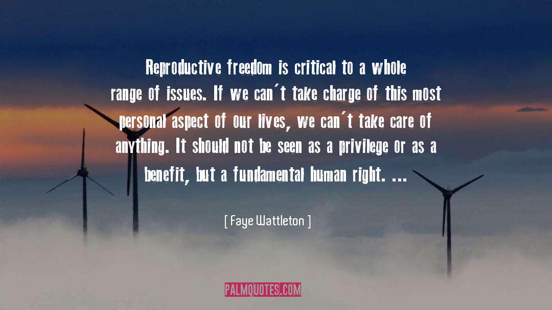 Reproductive quotes by Faye Wattleton