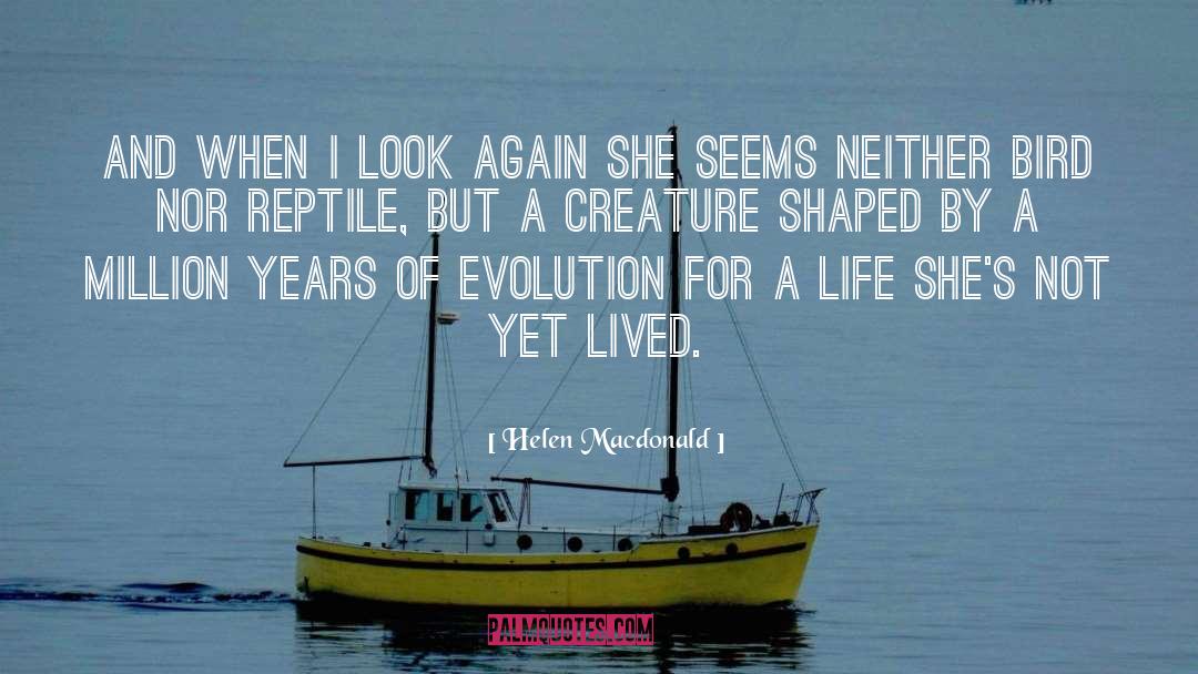 Reptile quotes by Helen Macdonald