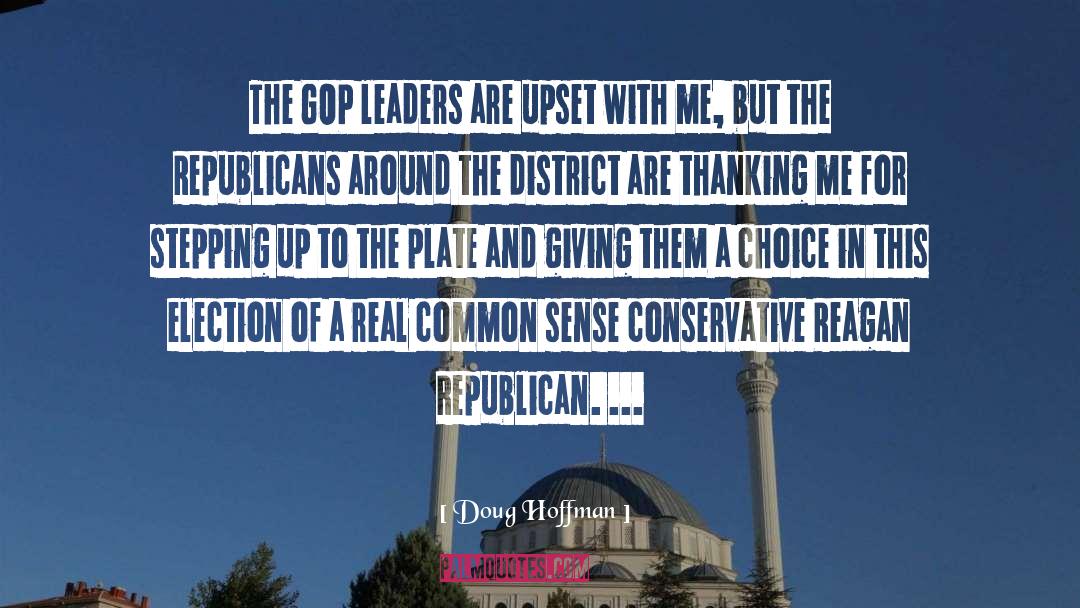 Republicans Are Seditious quotes by Doug Hoffman