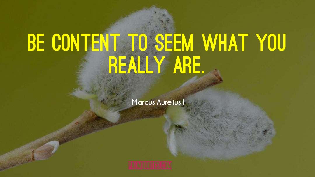 Repurpose Content quotes by Marcus Aurelius