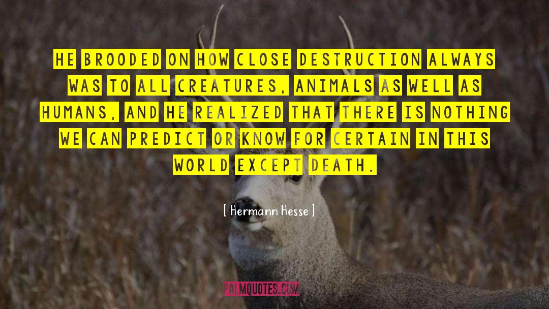 Rescued Animals quotes by Hermann Hesse