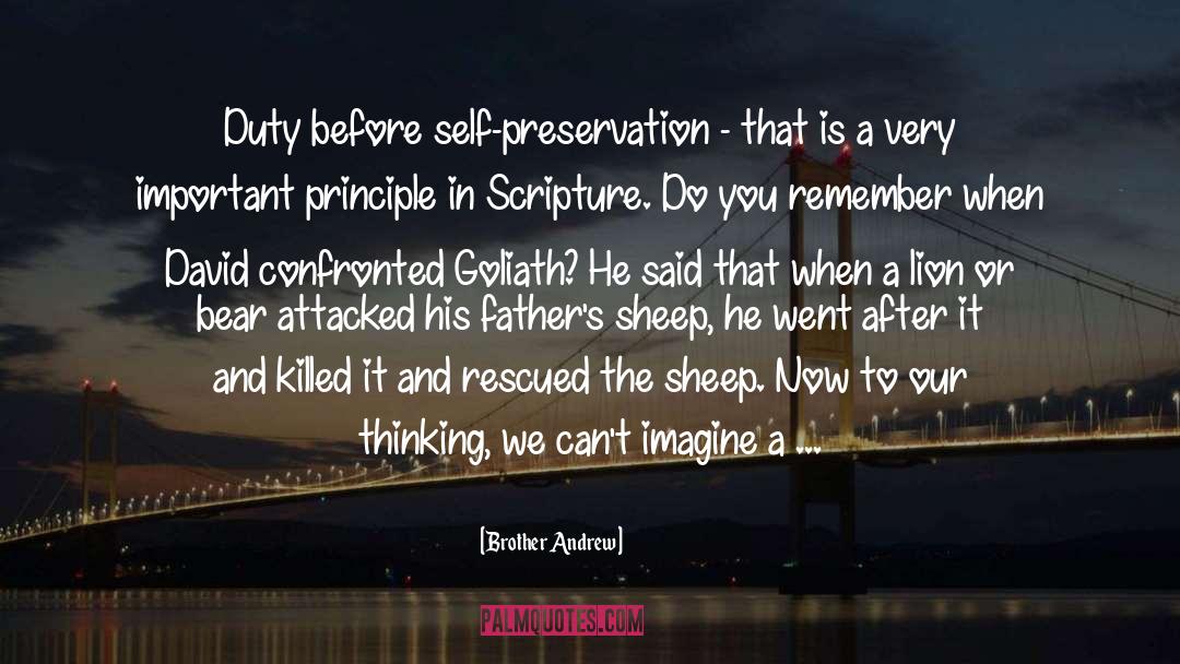 Rescued quotes by Brother Andrew