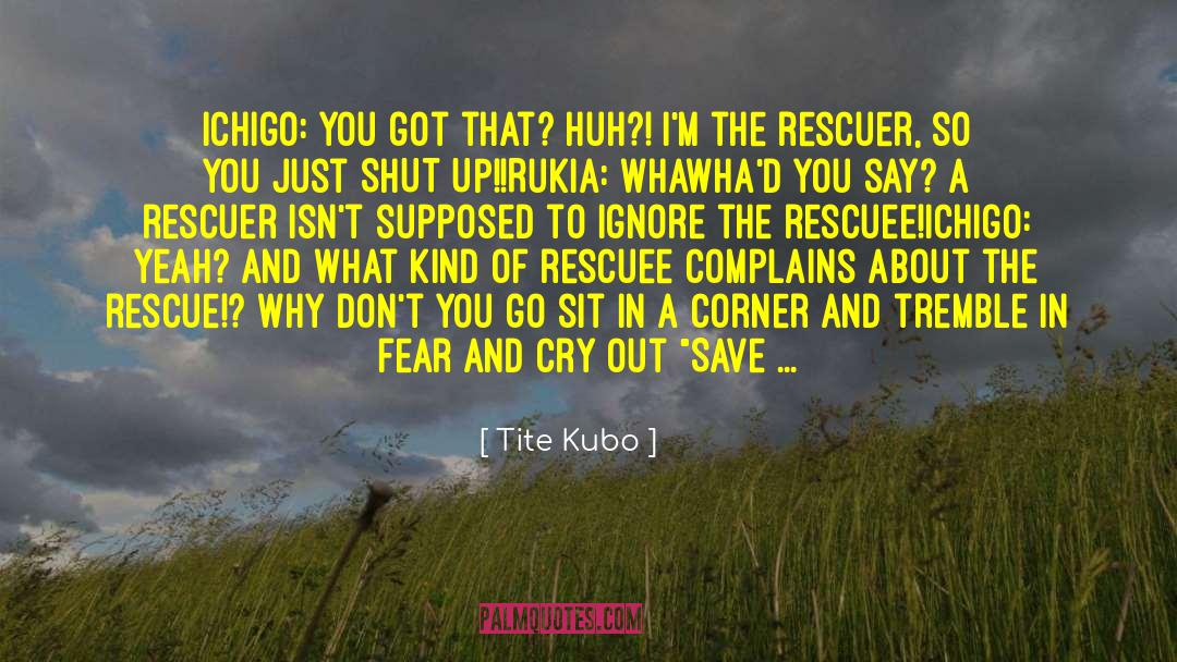 Rescuer quotes by Tite Kubo