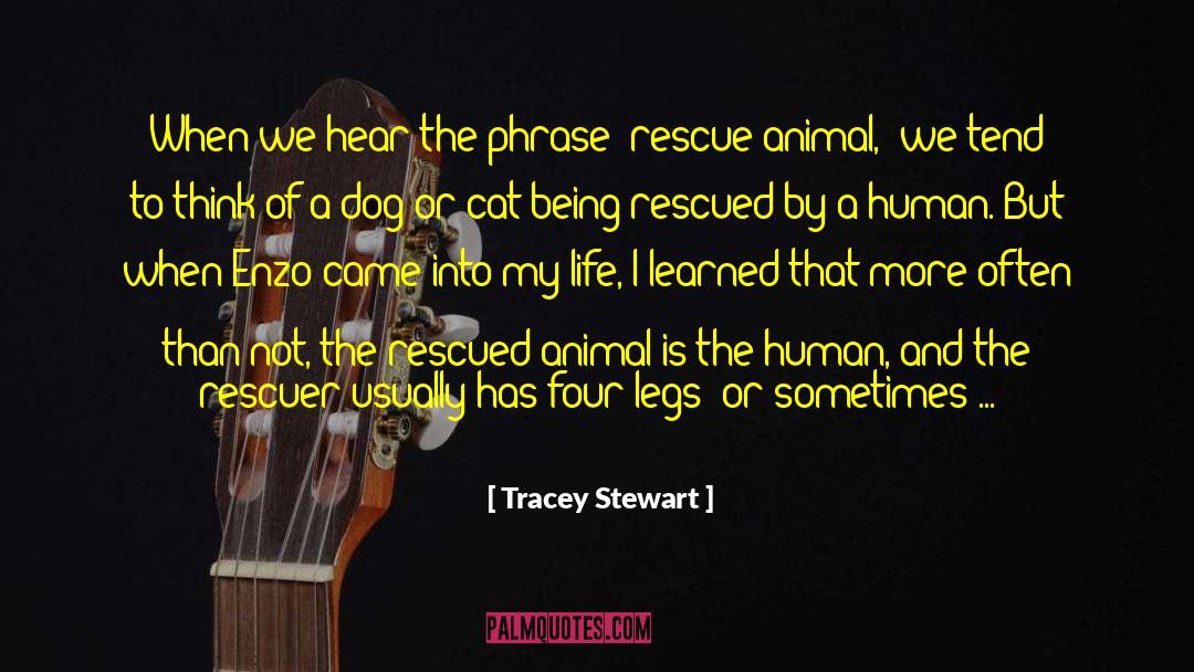 Rescuer quotes by Tracey Stewart
