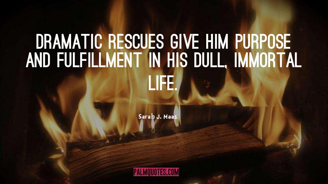 Rescues quotes by Sarah J. Maas