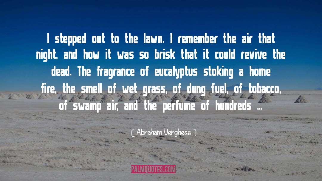 Reseeding A Lawn quotes by Abraham Verghese