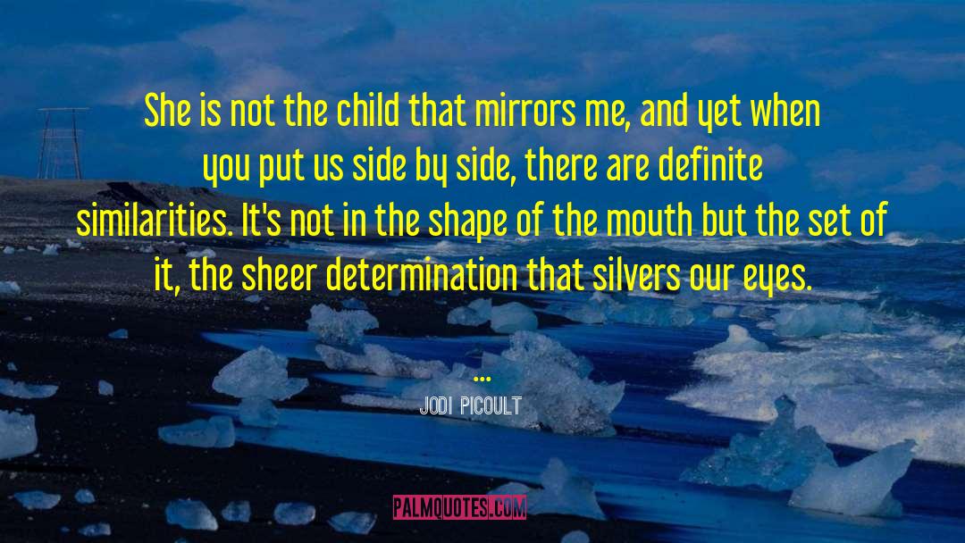 Resemblance quotes by Jodi Picoult