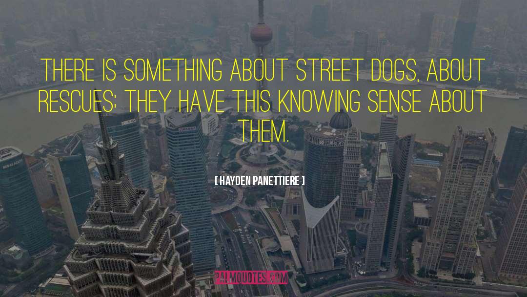 Reservoir Dogs quotes by Hayden Panettiere