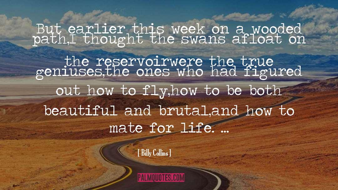Reservoir quotes by Billy Collins