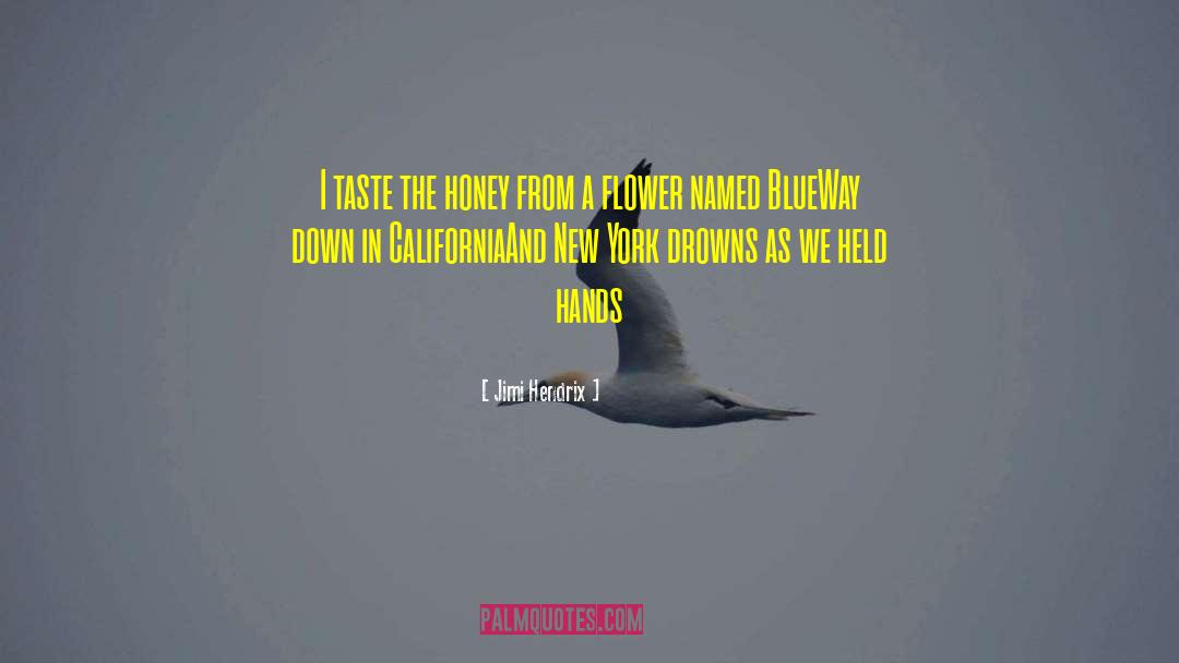 Reservoirs In California quotes by Jimi Hendrix