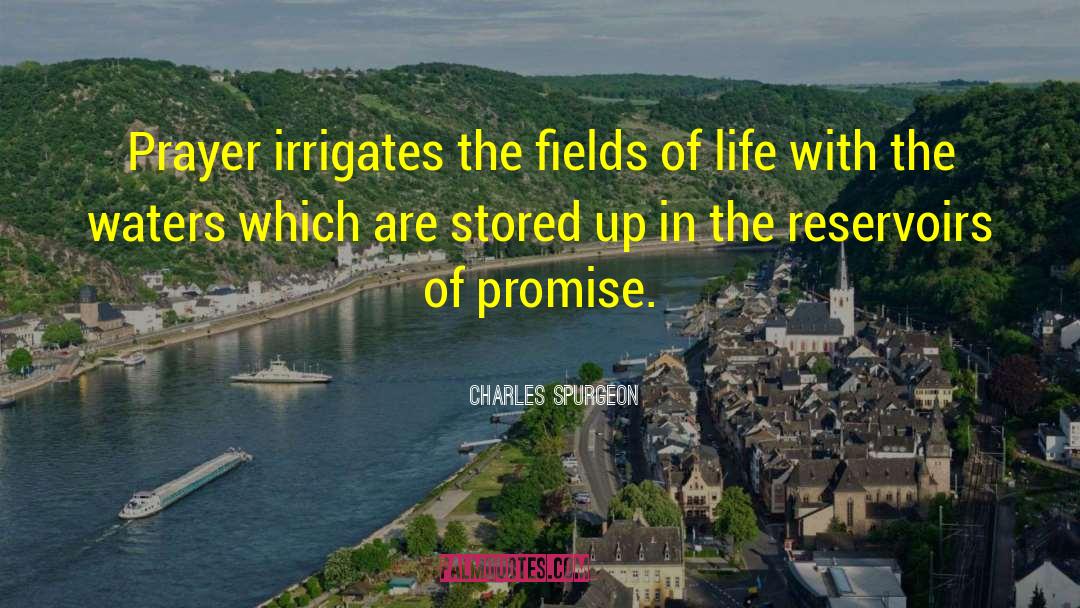 Reservoirs quotes by Charles Spurgeon