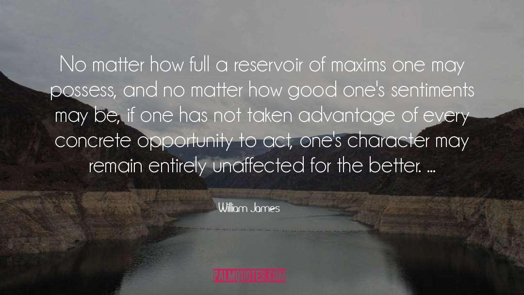 Reservoirs quotes by William James