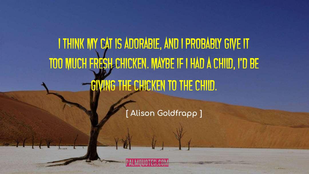 Reshmi Chicken quotes by Alison Goldfrapp