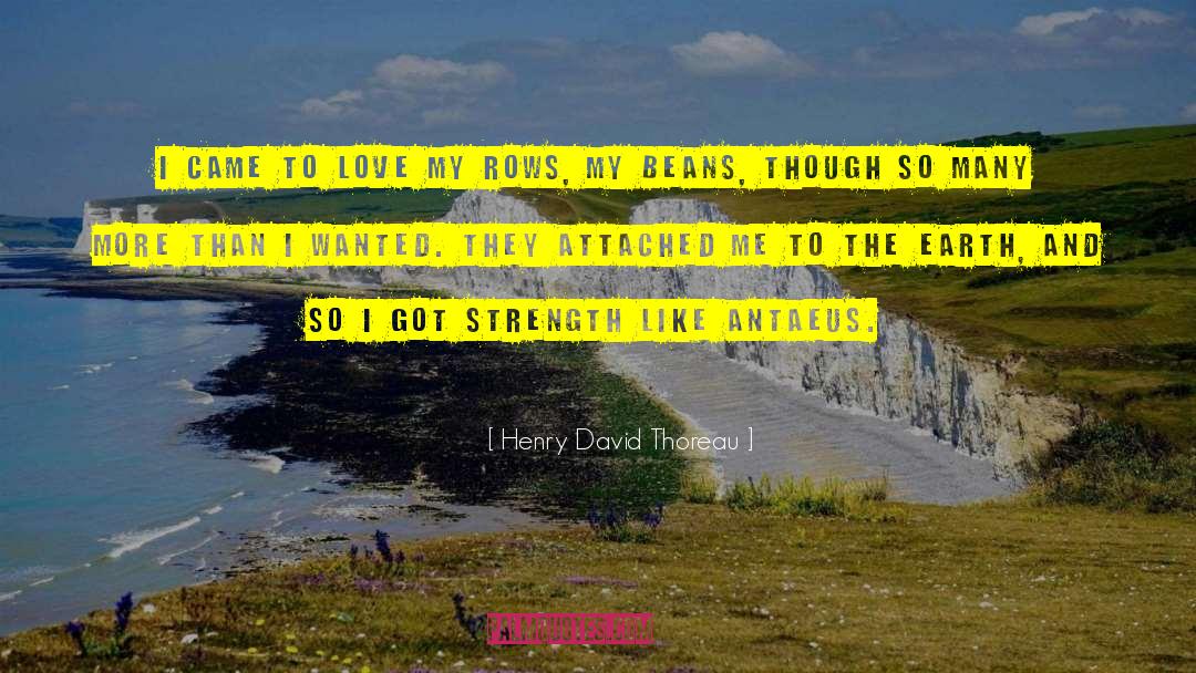 Resilience And Strength quotes by Henry David Thoreau