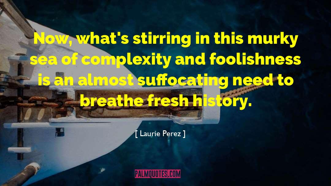 Resiliency quotes by Laurie Perez