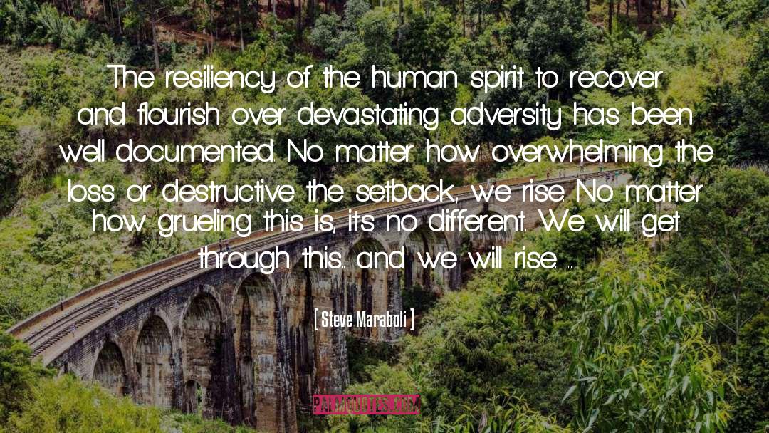 Resiliency quotes by Steve Maraboli