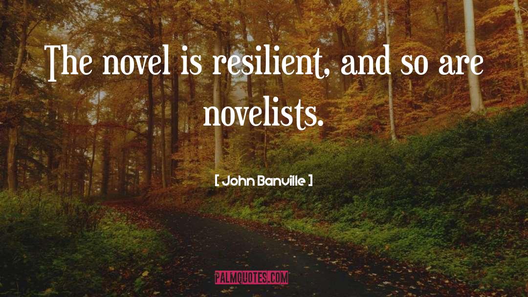Resilient Girl quotes by John Banville