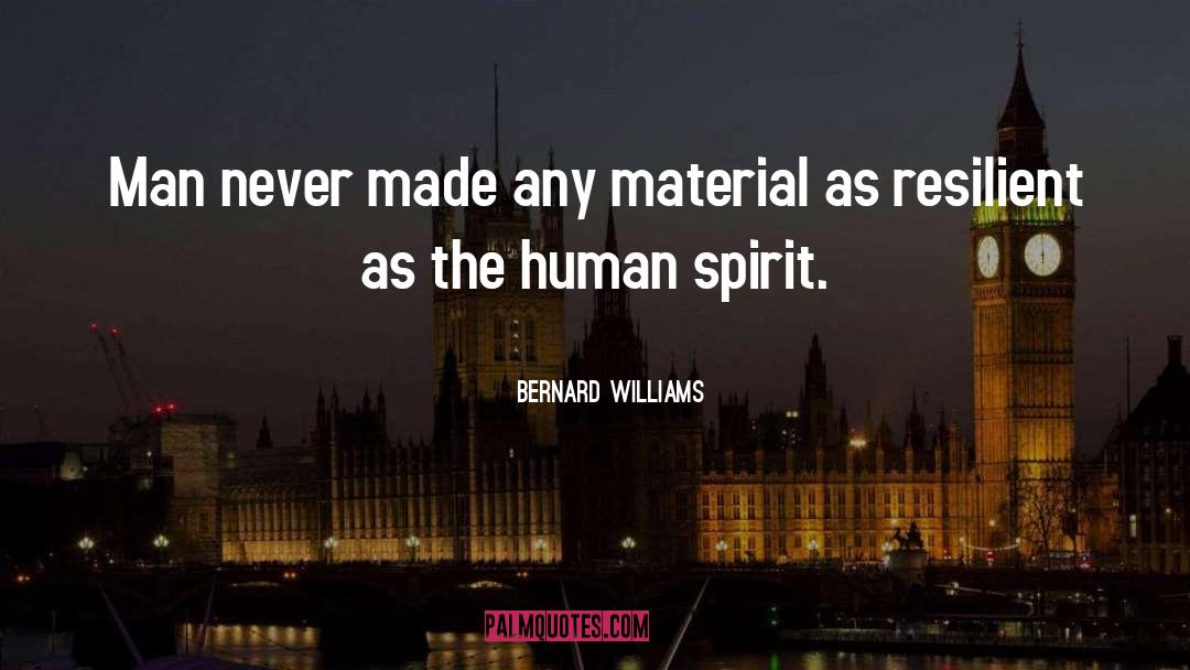 Resilient quotes by Bernard Williams