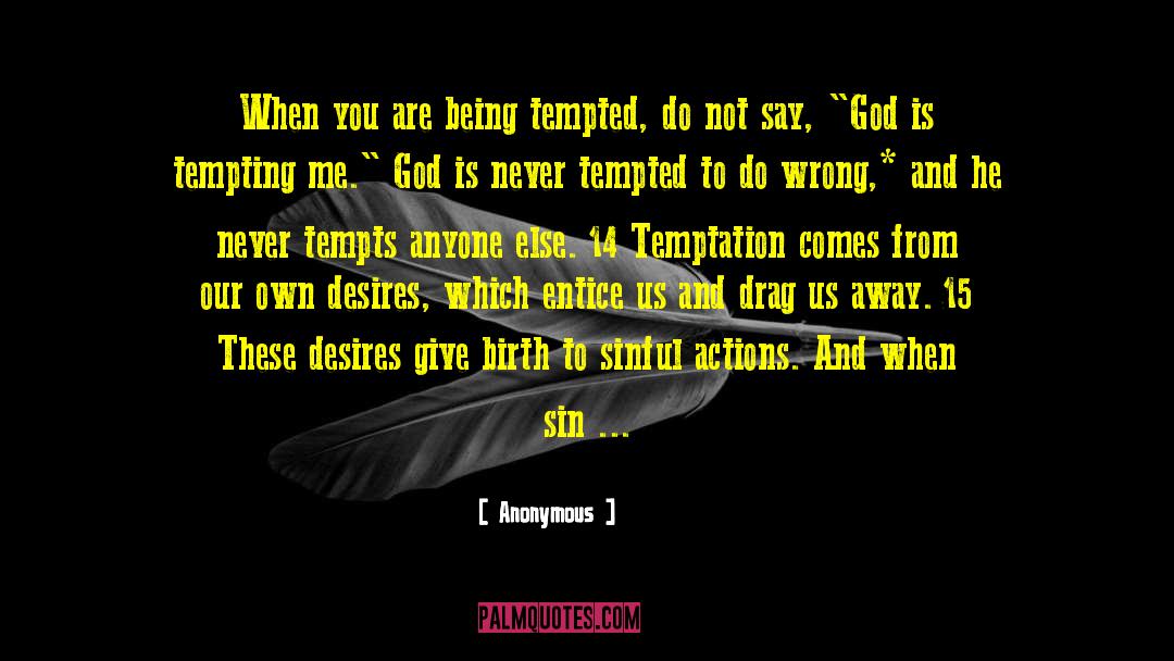 Resisting Temptation quotes by Anonymous