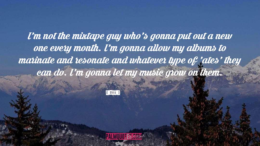 Resonate quotes by DMX