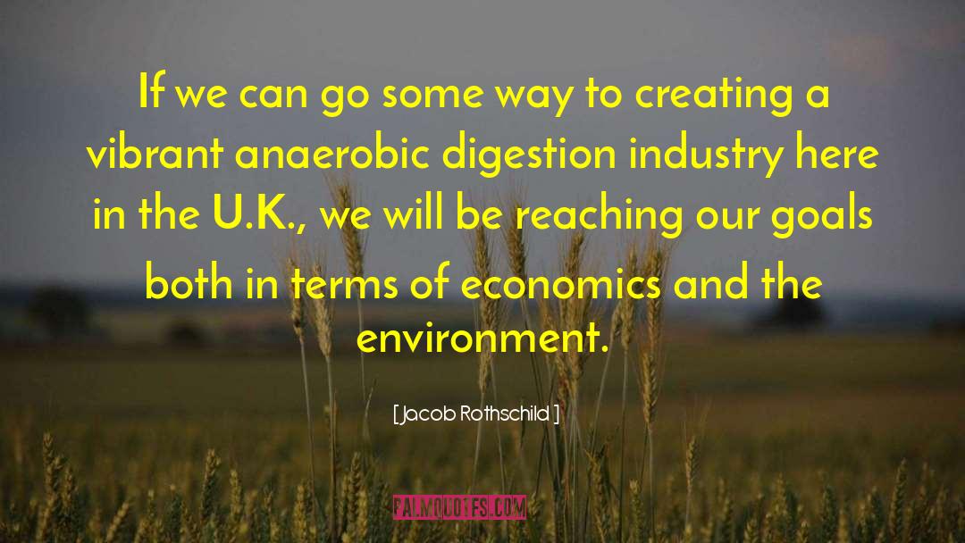 Resource Economics quotes by Jacob Rothschild