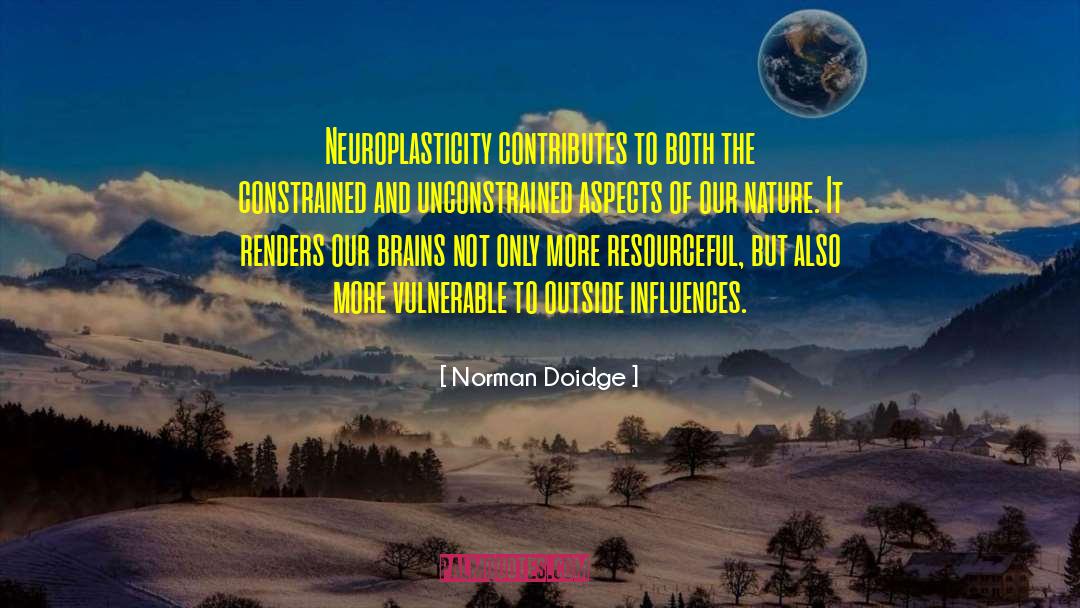 Resourceful quotes by Norman Doidge