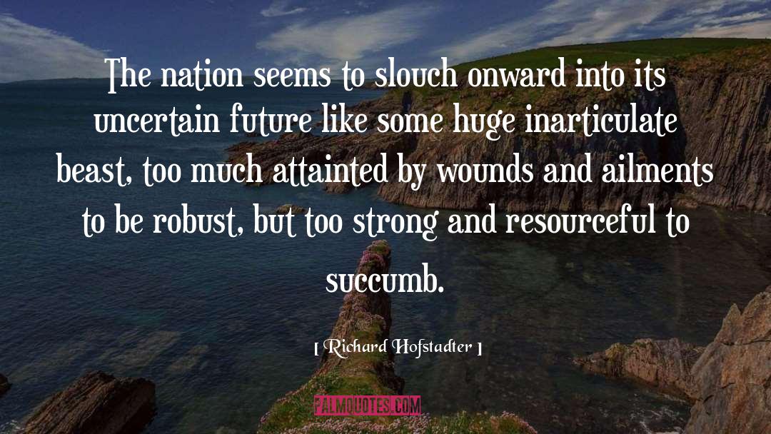 Resourceful quotes by Richard Hofstadter