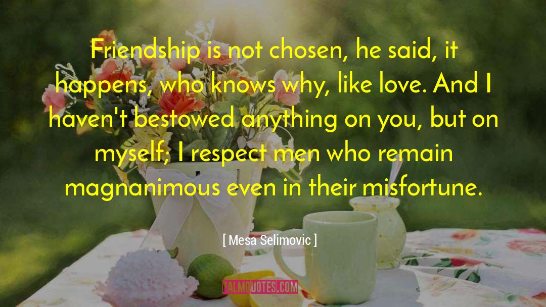 Respect Men quotes by Mesa Selimovic