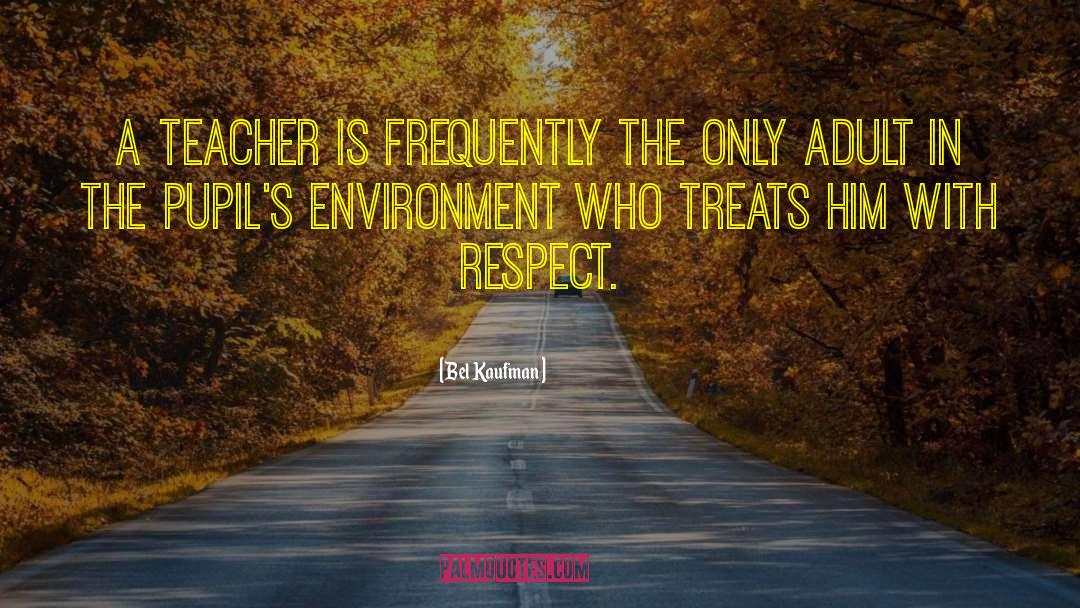 Respect Teacher quotes by Bel Kaufman