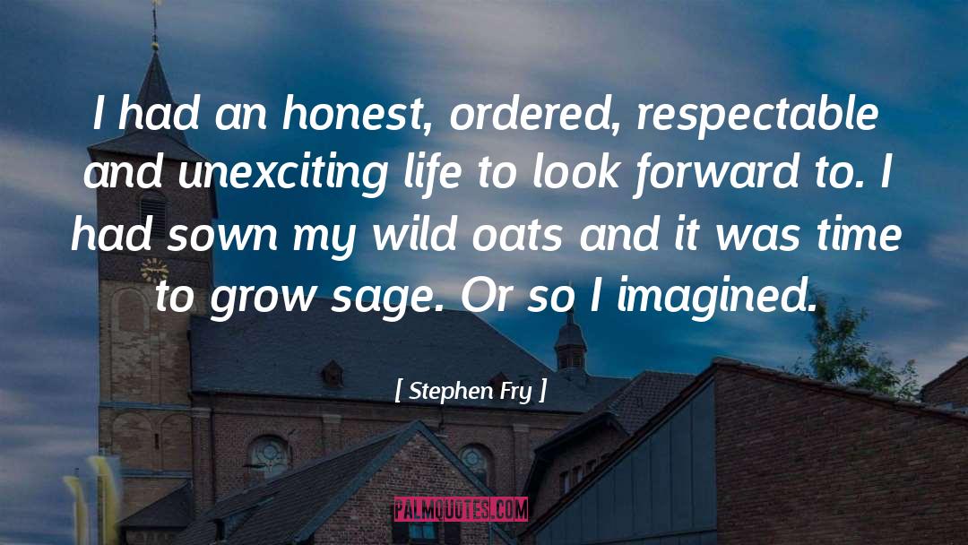 Respectable quotes by Stephen Fry