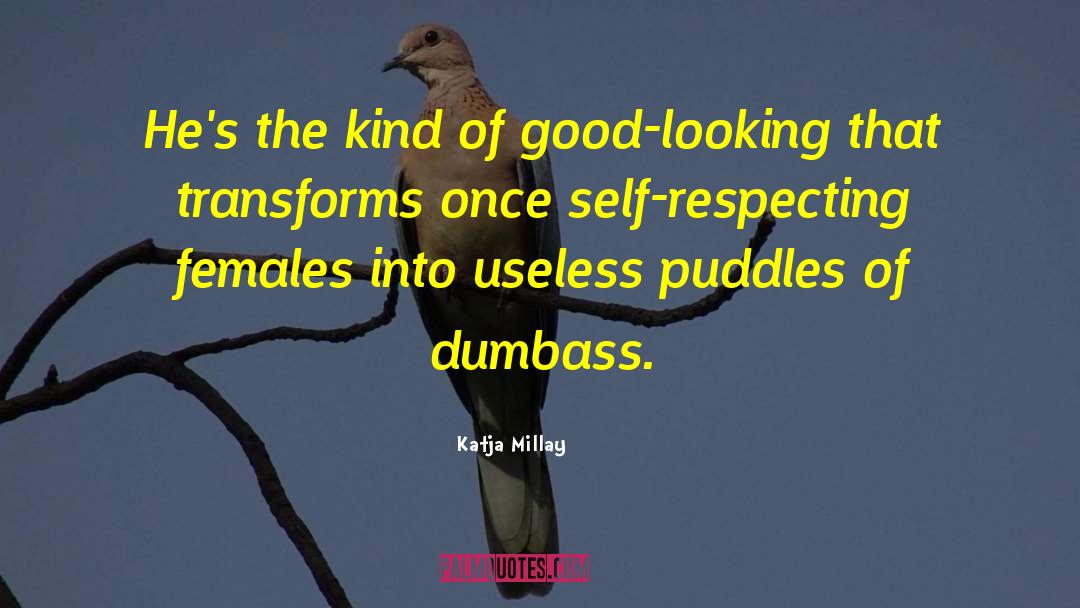 Respecting quotes by Katja Millay