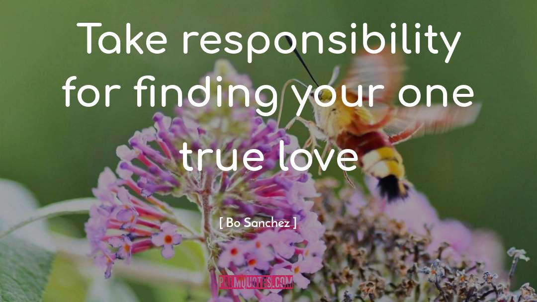 Responsibility For Your Actions quotes by Bo Sanchez