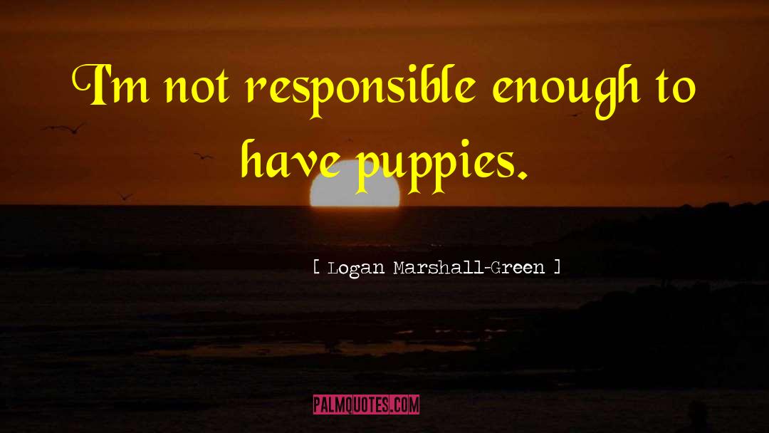 Responsible Person quotes by Logan Marshall-Green