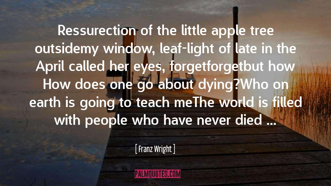 Ressurection quotes by Franz Wright