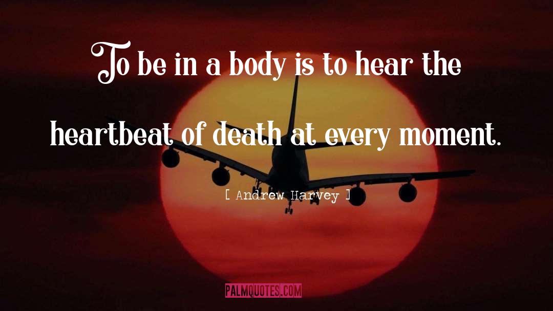 Rest The Body quotes by Andrew Harvey