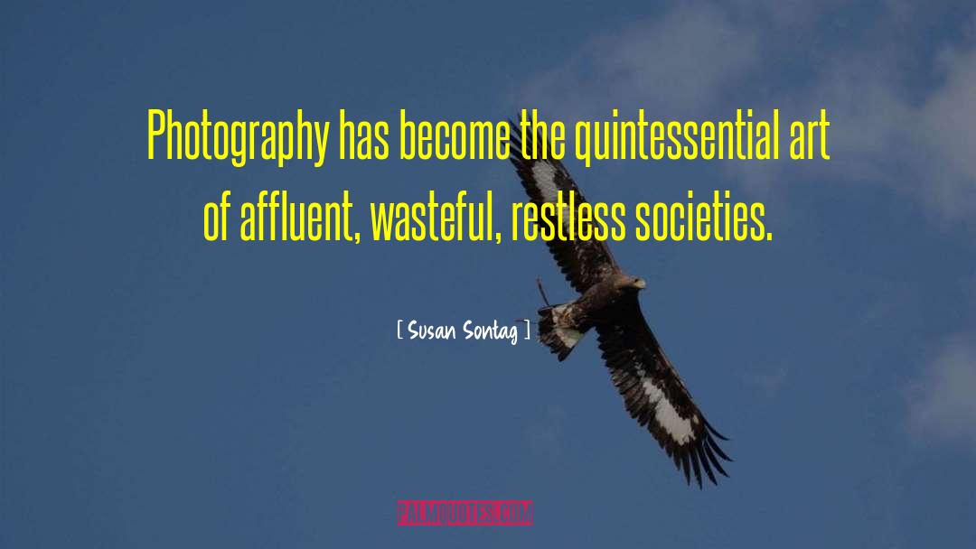 Restless Mind quotes by Susan Sontag