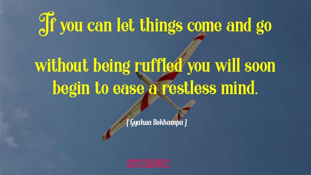 Restless Mind quotes by Gyalwa Dokhampa