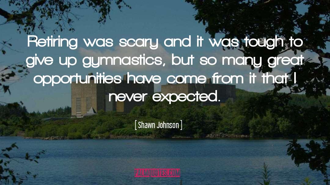 Retiring Young quotes by Shawn Johnson