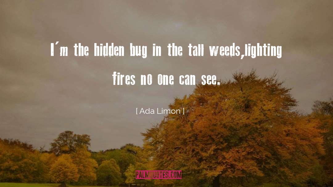 Retrovia Lighting quotes by Ada Limon