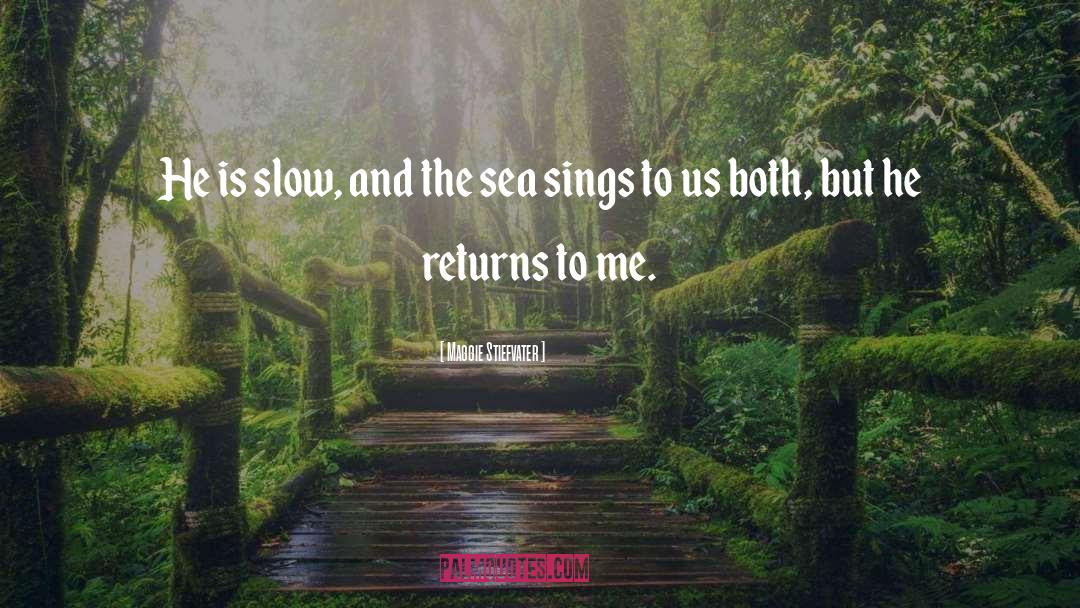 Return Yes quotes by Maggie Stiefvater