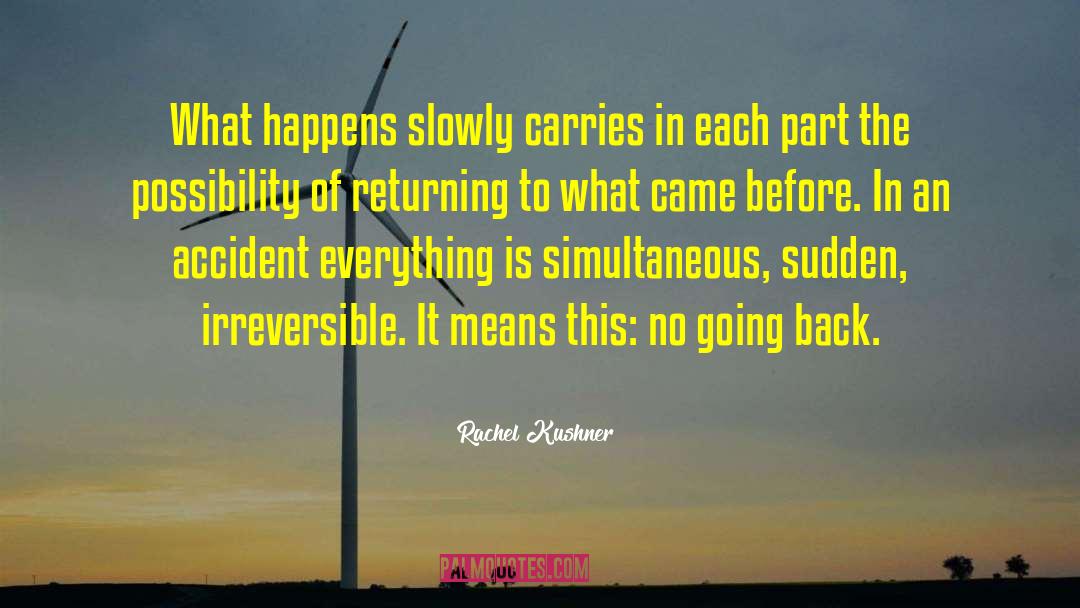 Returning Back To India quotes by Rachel Kushner