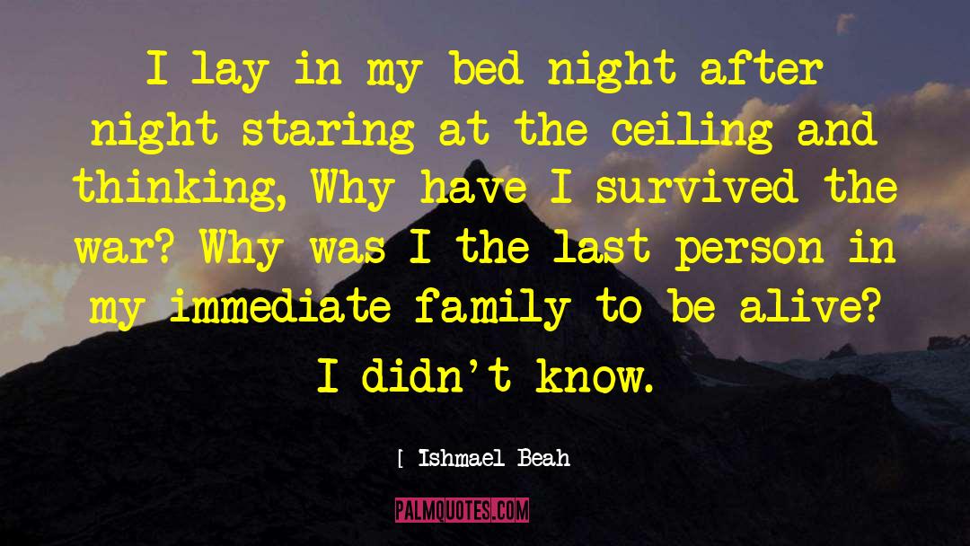 Returning Soldier quotes by Ishmael Beah