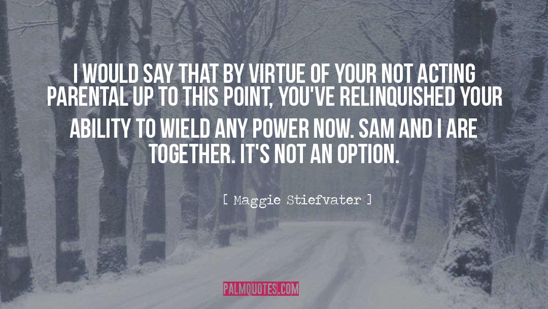Retweets Option quotes by Maggie Stiefvater