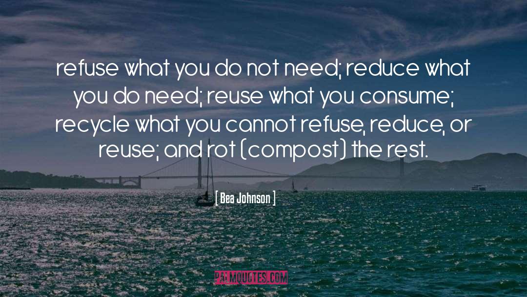 Reuse quotes by Bea Johnson