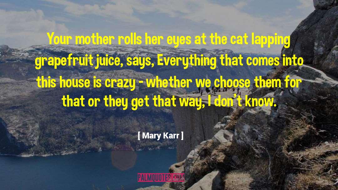 Revealing Eyes quotes by Mary Karr