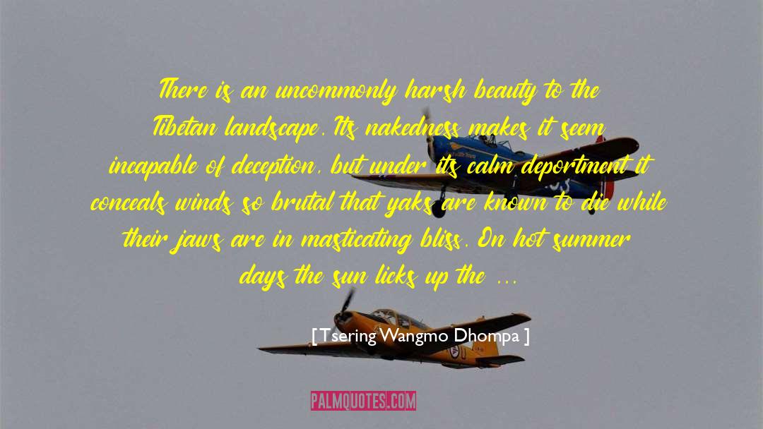 Reveals Beauty quotes by Tsering Wangmo Dhompa